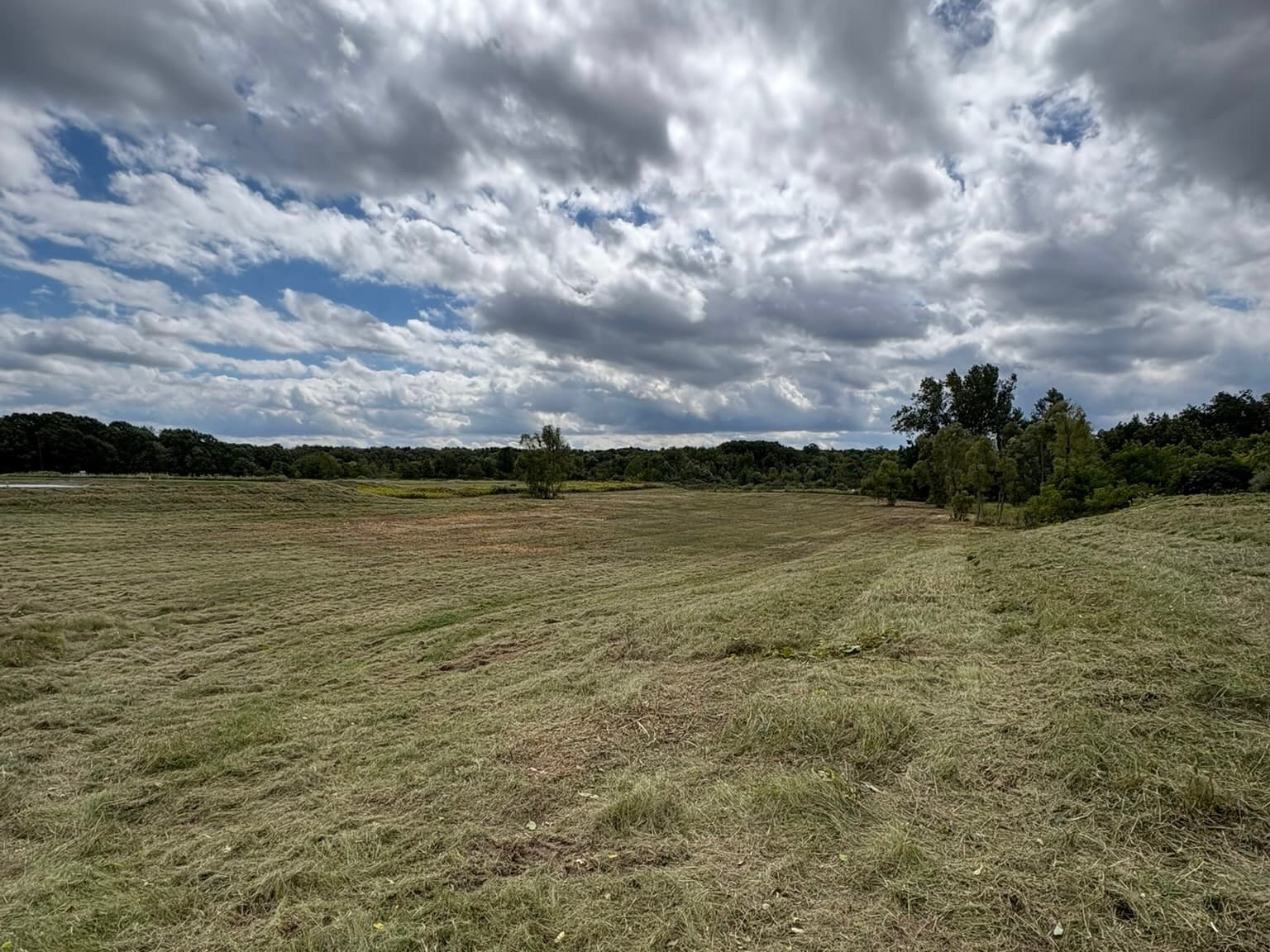 Project site after land clearing